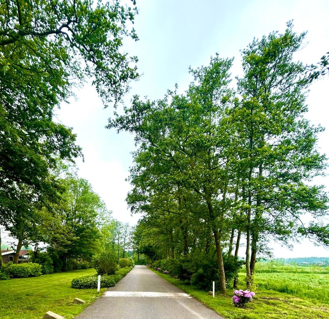 Villa Cozy Family House With Spacious Garden In The Nature Near Amsterdam Vijfhuizen Exterior foto